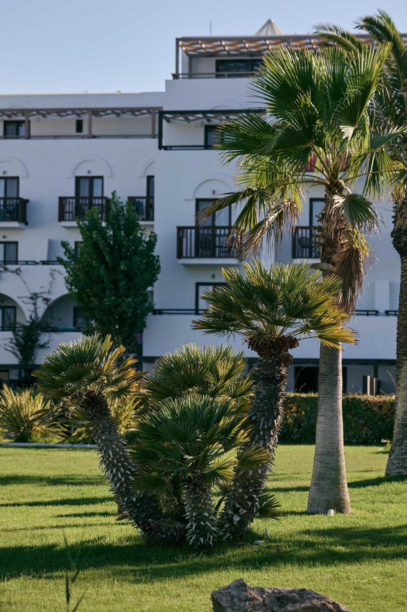 Oceanis Beach & Spa Resort 帕萨里迪 外观 照片